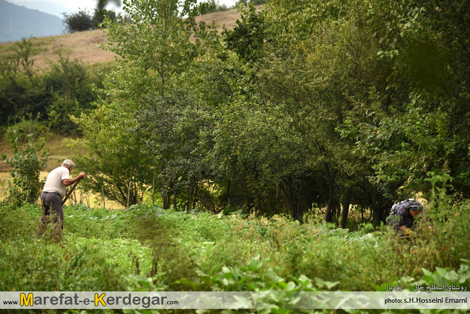 روستای اسطلخ جان